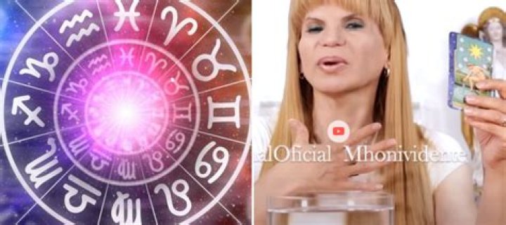 CanalOficial Mhonividente statistiques vidéo