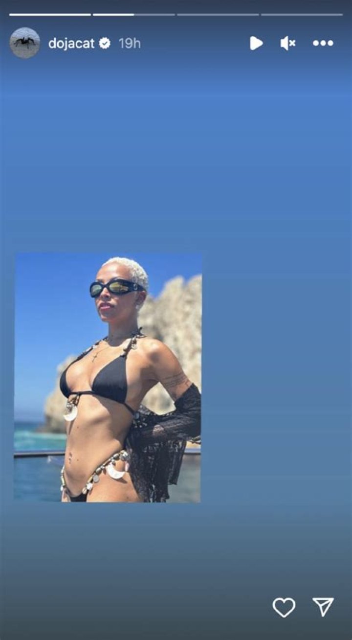 Doja Cat in Bathing Suit is a "Hottie" — Celebwell