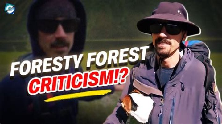 Foresty Forest Youtuber overview