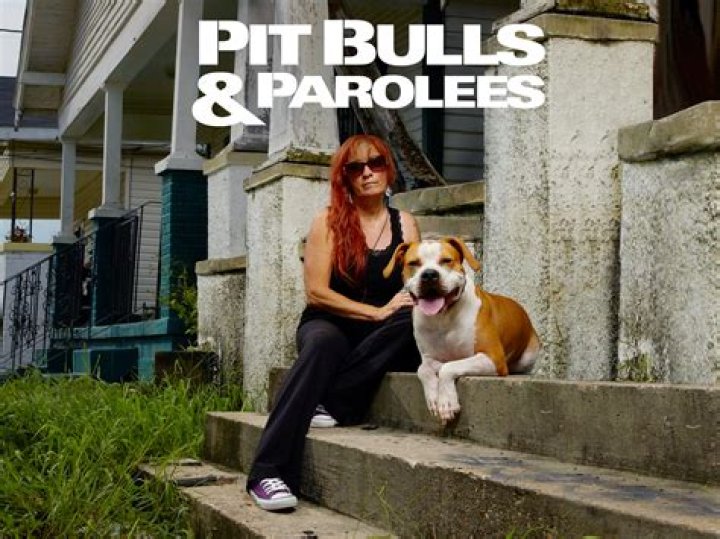 How Much Is Pit Bulls And Parolees Worth? – Celebrity
