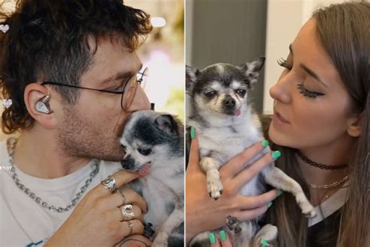 Is Marbles Dog Still Alive 2022? – Celebrity