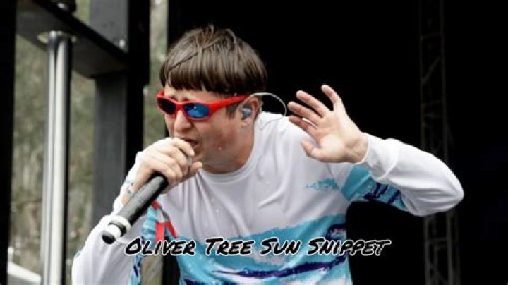 Oliver Tree Net Worth & Earnings (2024)