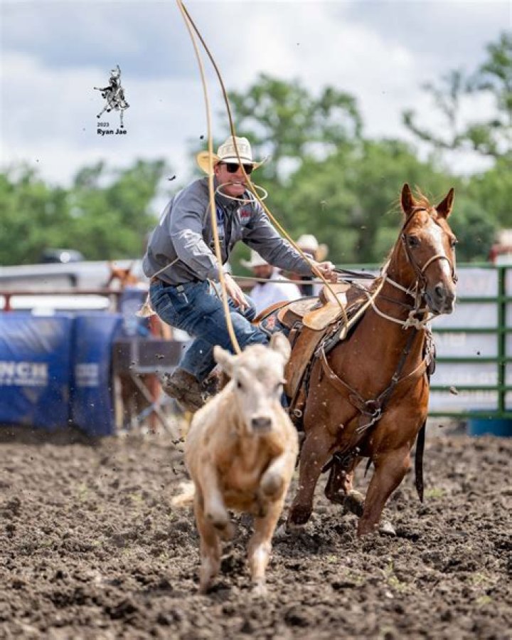 Reflect Phyllis Waxenberg Death, Obituary, Muttontown Horsemen’s Association