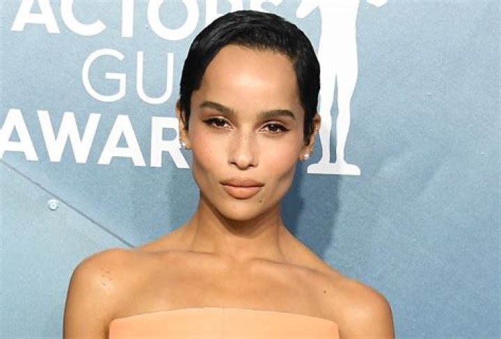 Zoë Kravitz in Bathing Suit Steams Up Elle Magazine — Celebwell